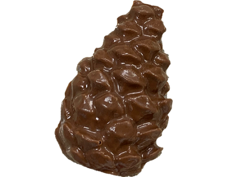 Pinecone